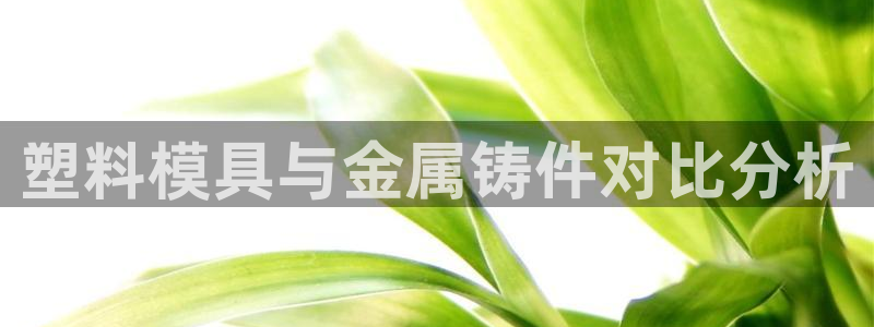 太阳集团控股有限公司官网香港：塑料模具与金属铸件对比分析