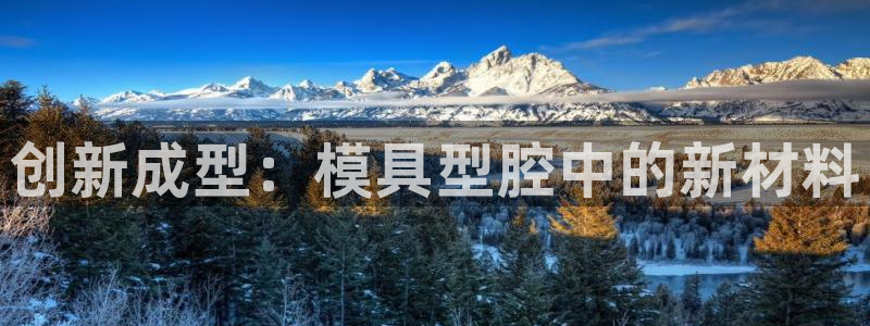 太阳gg注册登录：创新成型：模具型腔中的新材料