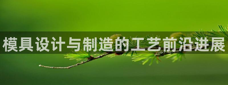 太阳集团网站2018：模具设计与制造的工艺前沿进展
