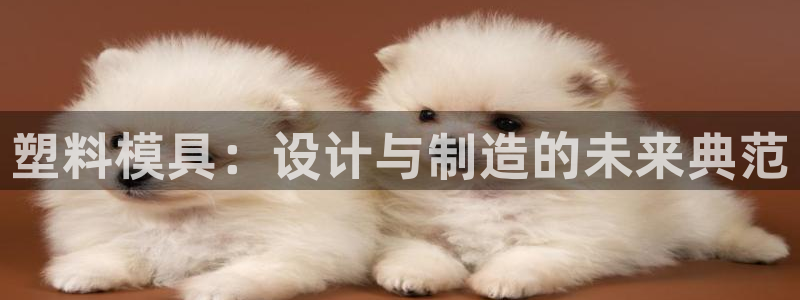 太阳gg官网登录：塑料模具：设计与制造的未来典范