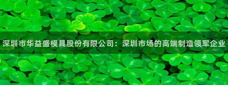 太阳集团是什么：深圳市华益盛模具股份有限公司：深圳市场的高端制造领军企业