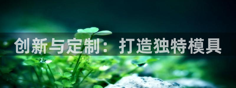 太阳影视公司：创新与定制：打造独特模具