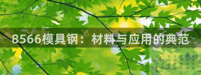 太阳集团是怎样一个公司：8566模具钢：材料与应用的典范