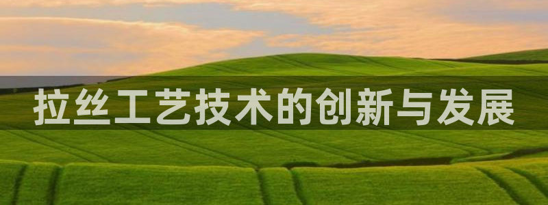 太阳股份有限公司