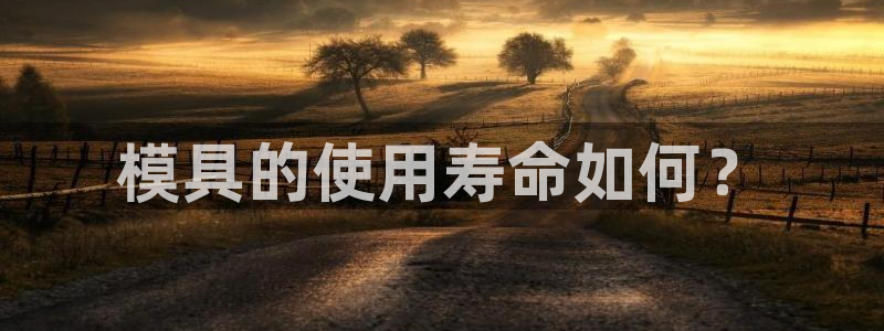 太阳集团城2018网站：模具的使用寿命如何？