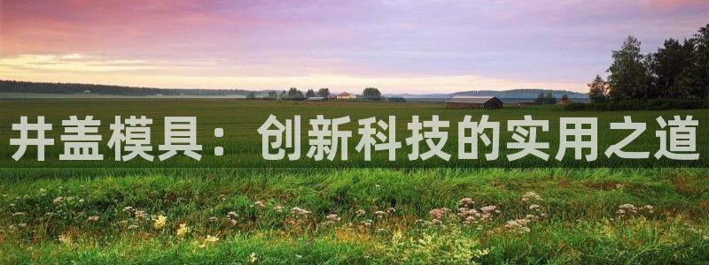 太阳集团官网8722：井盖模具：创新科技的实用之道