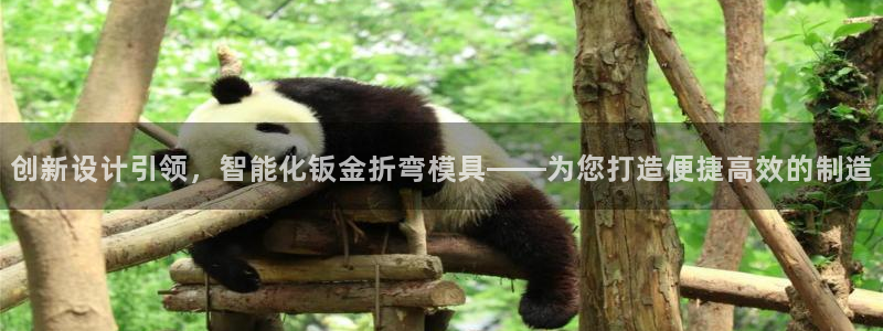 太阳集团娱：创新设计引领，智能化钣金折弯模具——为您打造便捷