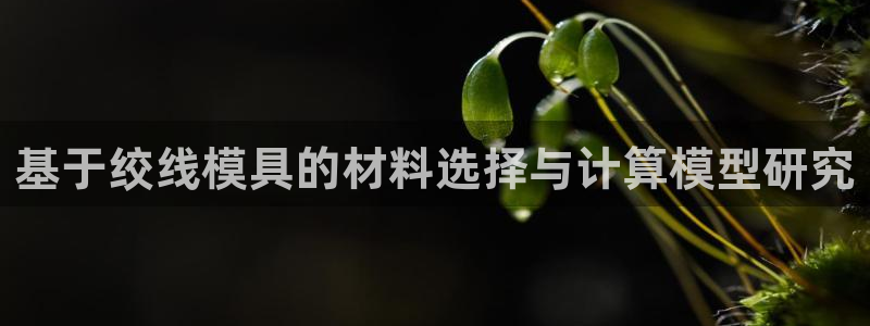 15vip太阳集团官网：基于绞线模具的材料选择与计算模型研究