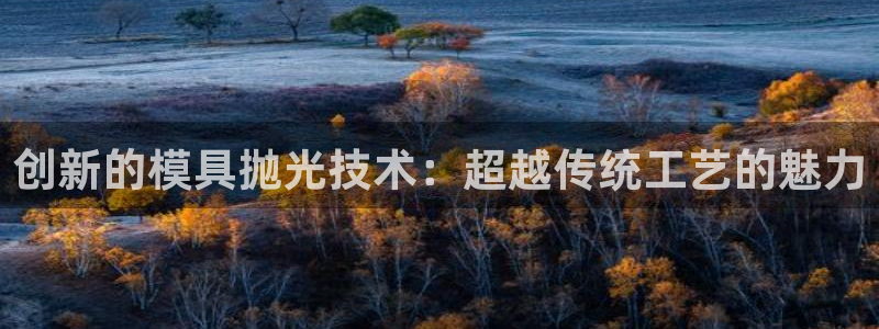 太阳集团主要是做什么的：创新的模具抛光技术：超越传统工艺的魅力
