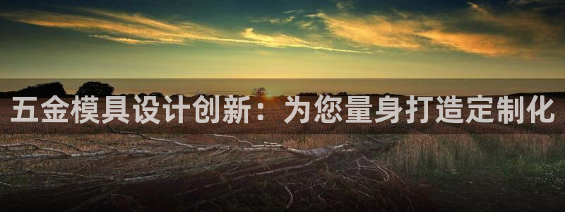 太阳2平台app下载：五金模具设计创新：为您量身打造定制化