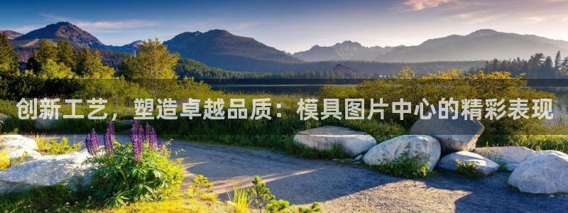 太阳成集团tyc151：创新工艺，塑造卓越品质：模具图片中心的精彩表现