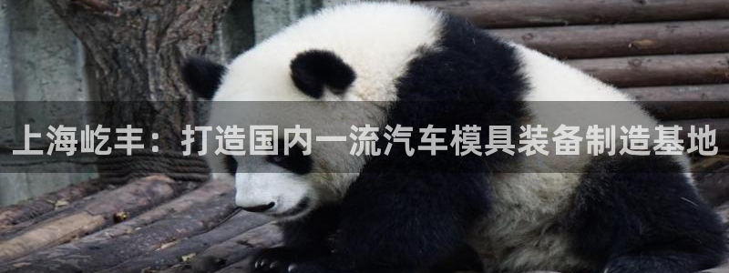 太阳gg登录地址：上海屹丰：打造国内一流汽车模具装备制造基地