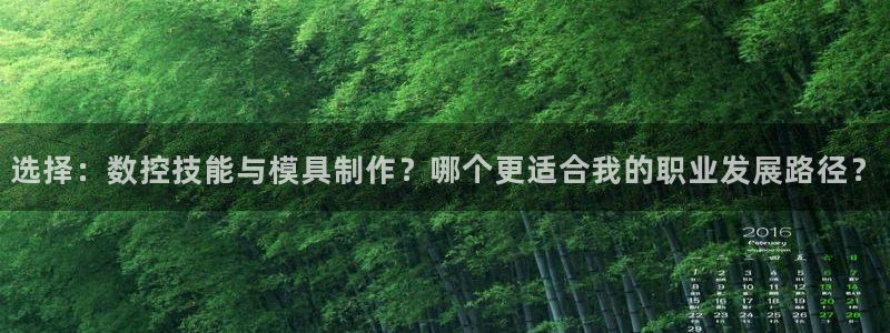 古天乐 太阳灯：选择：数控技能与模具制作？哪个更适合我的职业发展路径？