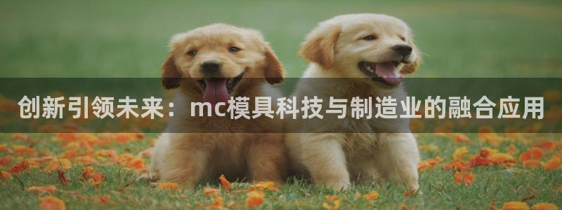 太阳app下载网址进入