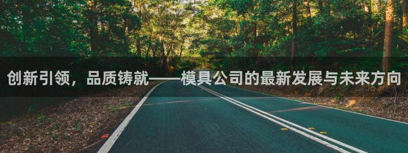 太阳集团娱乐所有网站app游戏优势：创新引领，品质铸就——模具公司的最新发展与未来方向