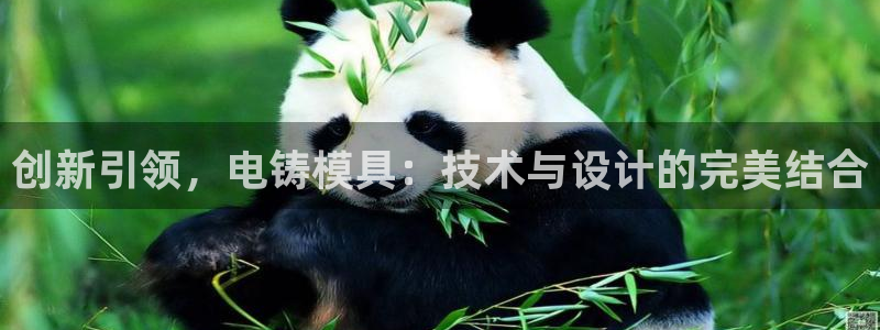 太阳集团城网站2007：创新引领，电铸模具：技术与设计的完美结合