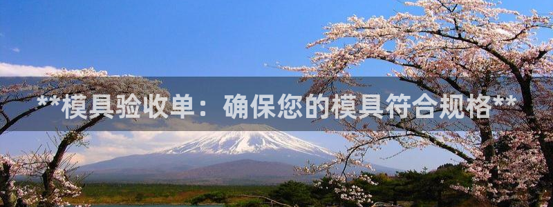 15vip太阳集团：**模具验收单：确保您的模具符合规格**