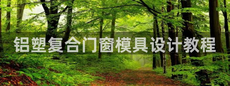 太阳集团董事长的儿子：铝塑复合门窗模具设计教程