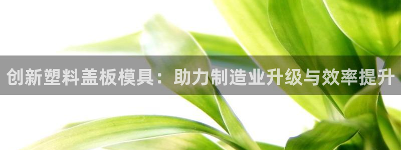 太阳集团入口官网首页：创新塑料盖板模具：助力制造业升级与效率提升