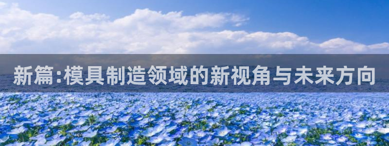 太阳1城集团网址是多少：新篇:模具制造领域的新视角与未来方向