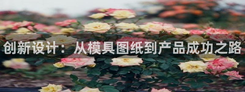 太阳集团电视剧：创新设计：从模具图纸到产品成功之路