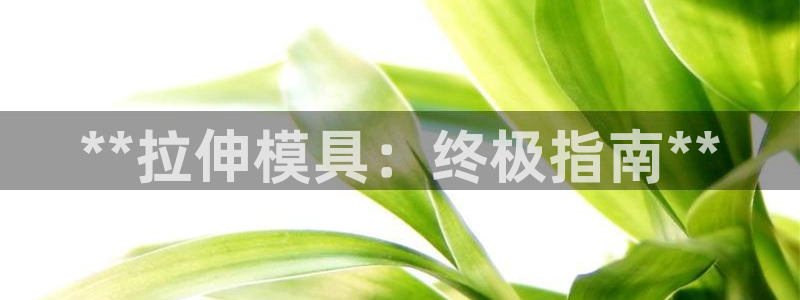 太阳成集团tyc234cc古天乐下载：**拉伸模具：终极指南**