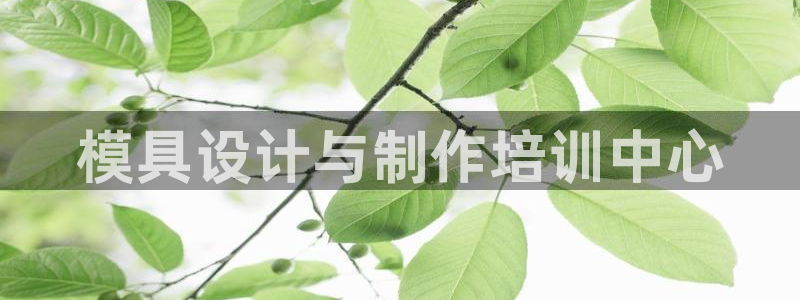 122cc太阳集成游戏