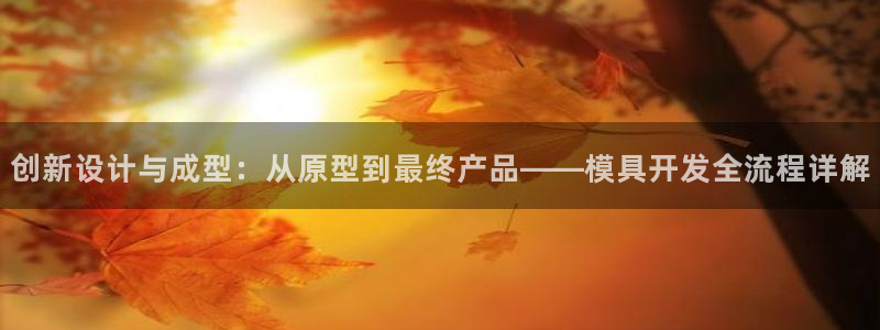 太阳集团的法人代表