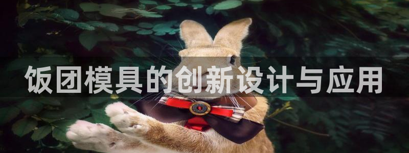 1593太阳集团城所有网址：饭团模具的创新设计与应用