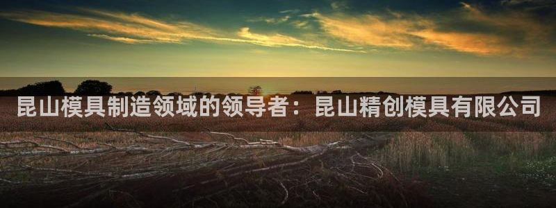 太阳gg官方网站：昆山模具制造领域的领导者：昆山精创模具有限公司