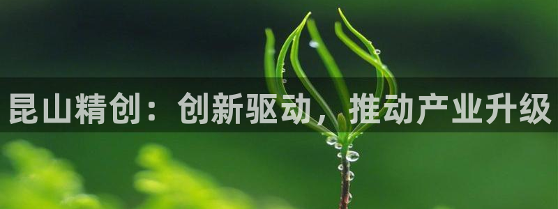 太阳诚集团网址：昆山精创：创新驱动，推动产业升级