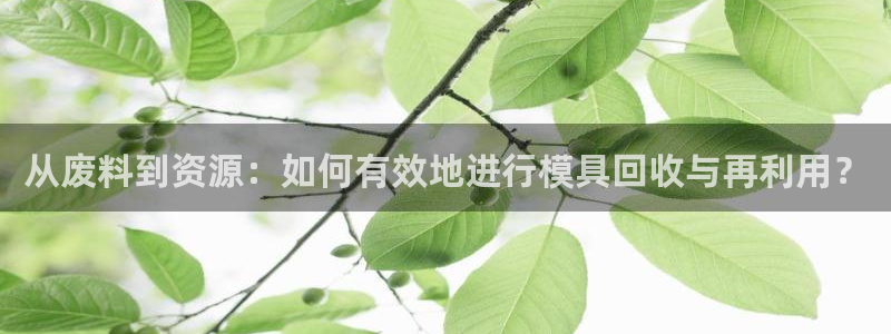 太阳app官网：从废料到资源：如何有效地进行模具回收与再利用？