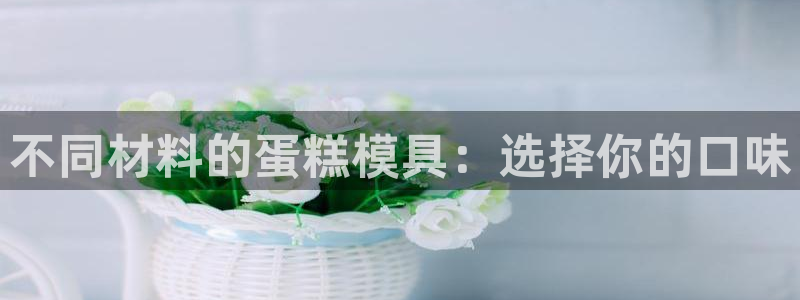 太阳集团游戏城旧版：不同材料的蛋糕模具：选择你的口味