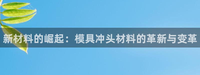 太阳gg平台注册：新材料的崛起：模具冲头材料的革新与变革