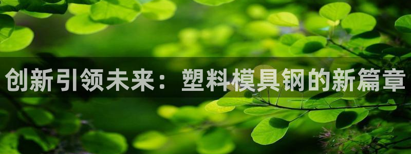 太阳成集团APP：创新引领未来：塑料模具钢的新篇章