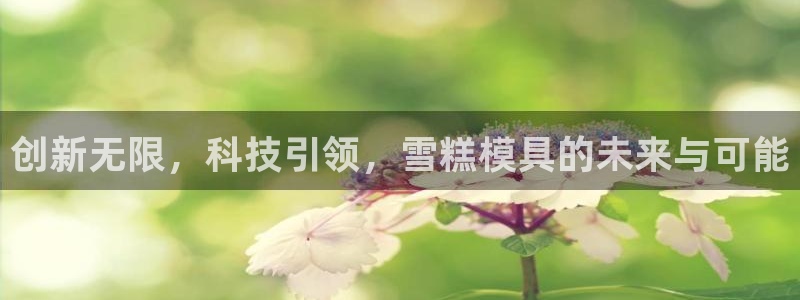 太阳集团娱乐场：创新无限，科技引领，雪糕模具的未来与可能